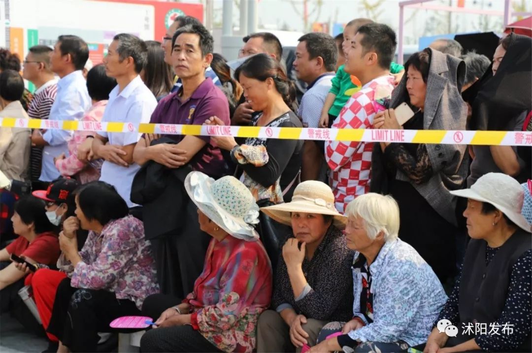 娌槼鏃呮父璺嚎鎺ㄨ崘,姹熻嫃娌槼鏃呮父鏀荤暐璺嚎