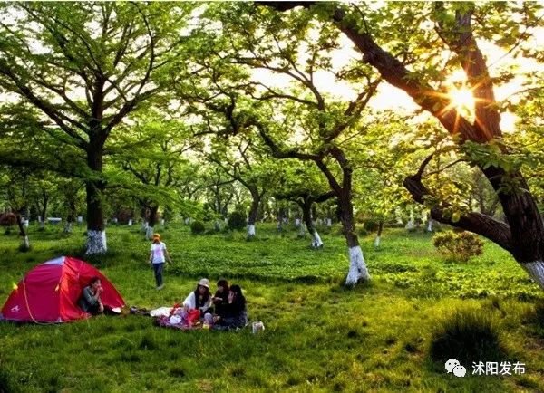 娌槼鏃呮父璺嚎鎺ㄨ崘,姹熻嫃娌槼鏃呮父鏀荤暐璺嚎