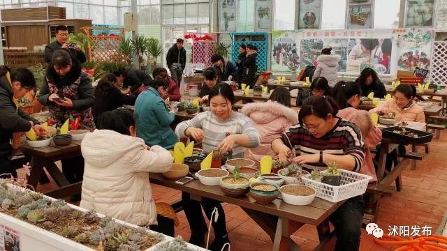 娌槼鏃呮父璺嚎鎺ㄨ崘,姹熻嫃娌槼鏃呮父鏀荤暐璺嚎