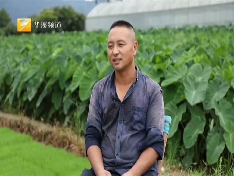 身边永康人：祖祖辈辈扎根做农民——李维哲