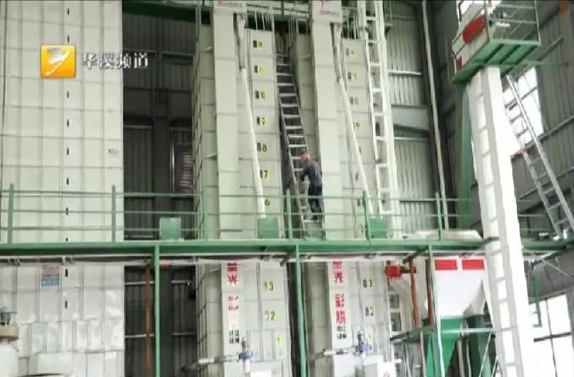 身边永康人:祖祖辈辈扎根做农民——李维哲