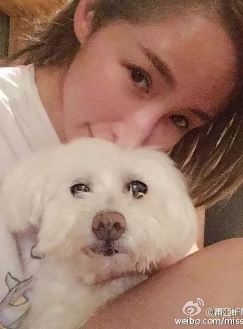 南有萧亚轩，北有杨幂，她们的撩汉秘诀其实在这里