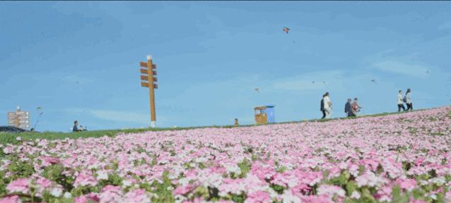 弥勒太平湖国际旅游度假,五一弥勒太平湖免费景区