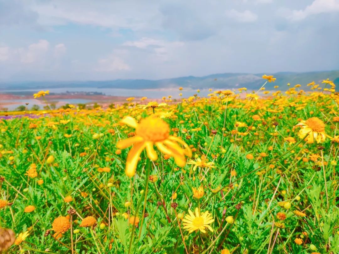 弥勒太平湖国际旅游度假,五一弥勒太平湖免费景区
