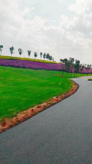 弥勒太平湖国际旅游度假,五一弥勒太平湖免费景区