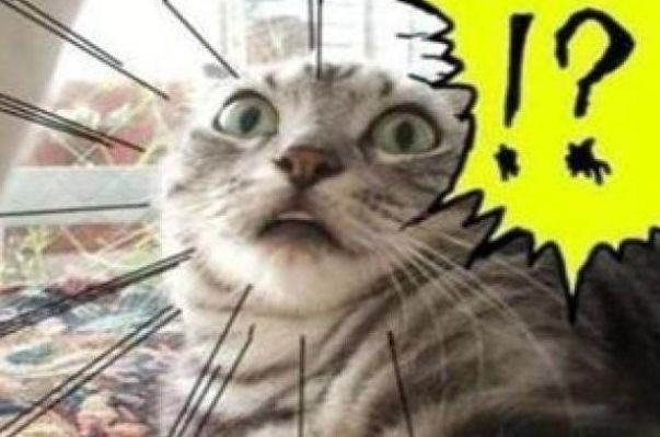 福建人当心！很多人倾家荡产！大*局骗**崩盘！冻结资金逾1.2亿元！8人被抓