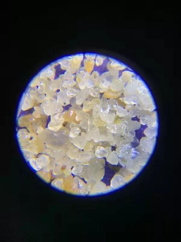 可以放大60倍的微小显微镜,显微镜最大可以放大5000倍