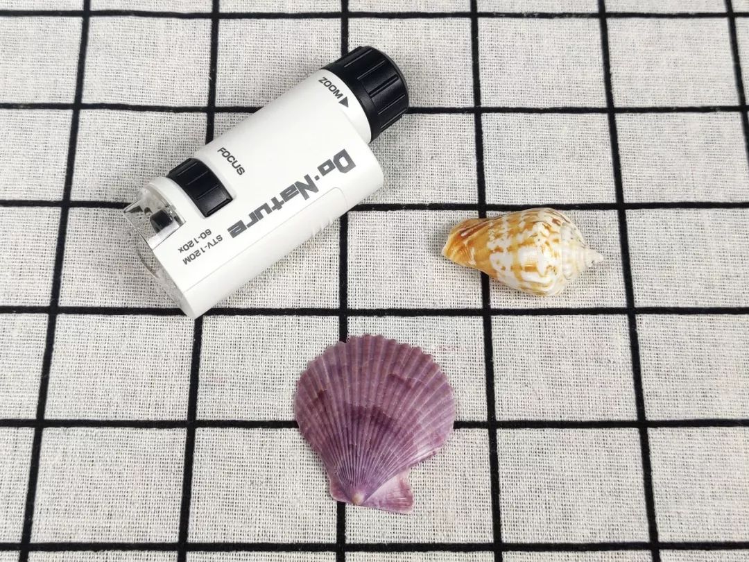 可以放大60倍的微小显微镜,显微镜最大可以放大5000倍