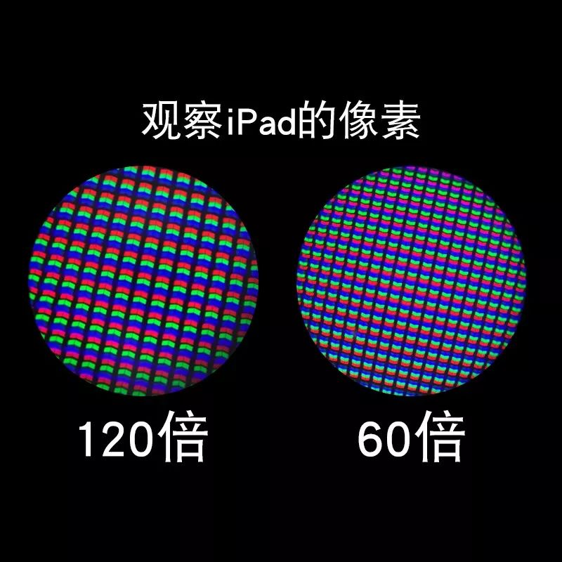 可以放大60倍的微小显微镜,显微镜最大可以放大5000倍