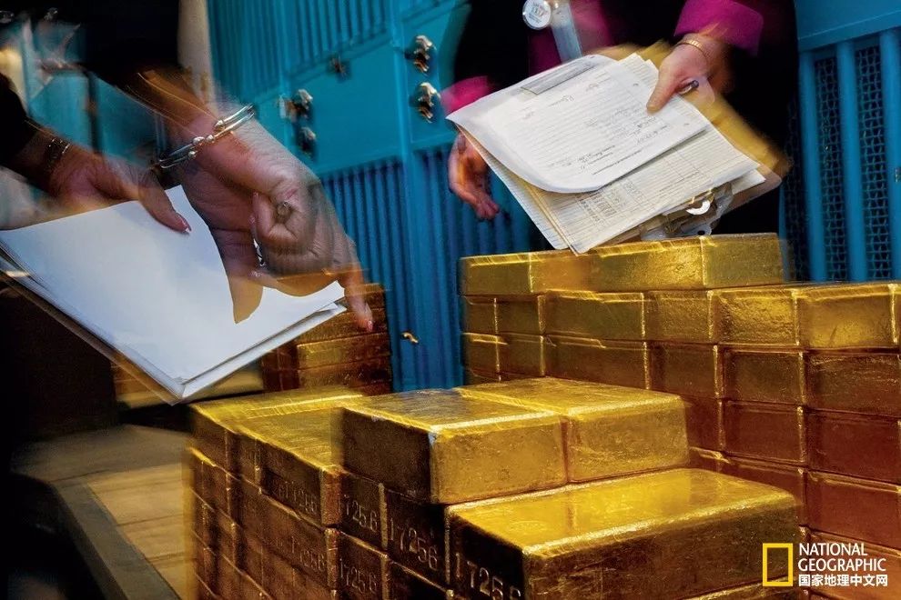 这些犀牛，看一次就忘不掉了