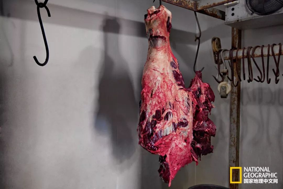 这些犀牛，看一次就忘不掉了