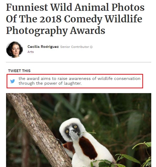 2019不正经摄影大赛引全网爆笑!40张动物黑历史被6万网友制成表情包....