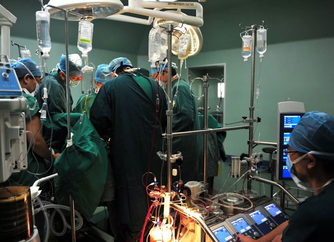 医路前行图,医路历程十六年