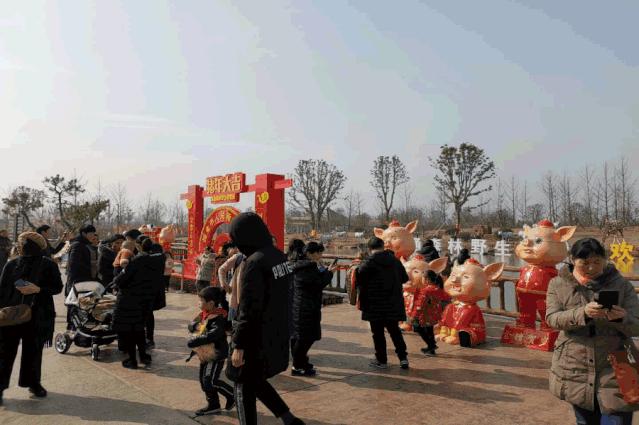 南通森林野生动物园中国大马戏,南通野生动物园国际大马戏座位数