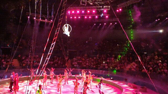 南通森林野生动物园中国大马戏,南通野生动物园国际大马戏座位数