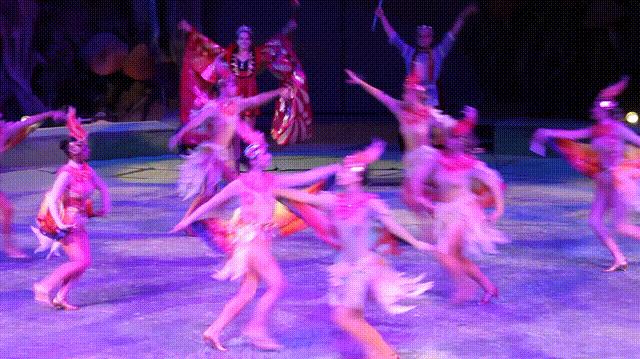 南通森林野生动物园中国大马戏,南通野生动物园国际大马戏座位数