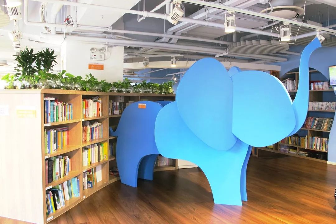 亲子阅读体验馆馆藏绘本多吗,沉浸式图书馆探馆