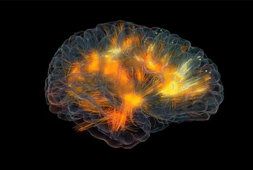 恭喜拥有“深度睡眠”的人！你的老痴风险降低了不少