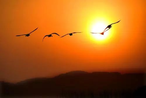 秋分人间半秋岁月无恙,秋分秋色层林尽染