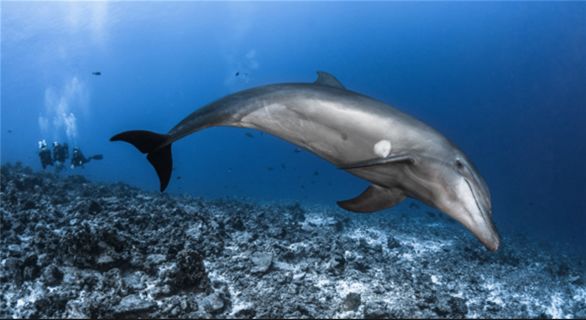 长假自由行旅行攻略,全球旅行的免费攻略