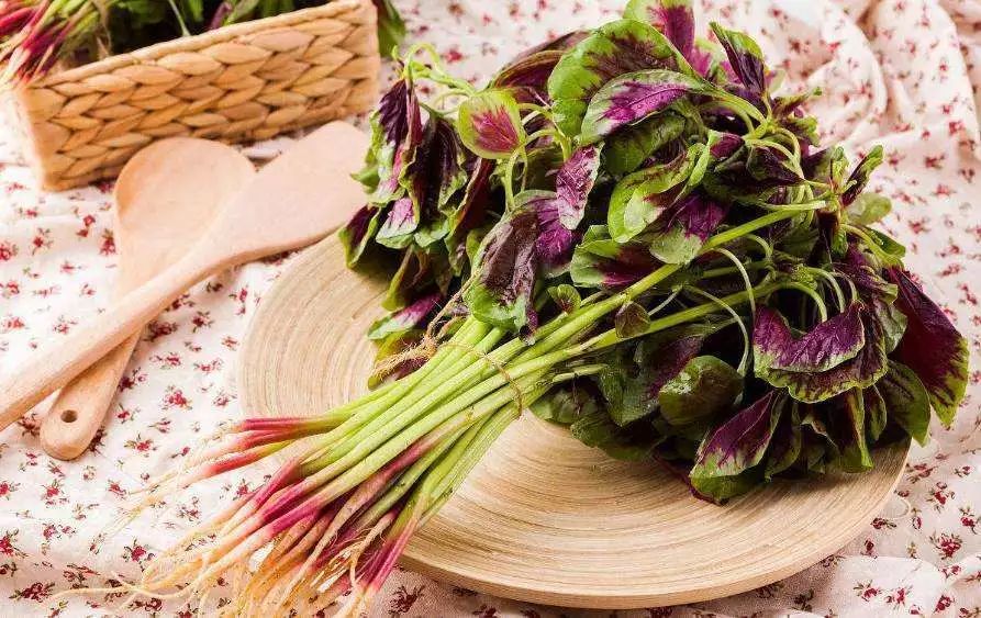 中国农民丰收节秋分节气同一天,二十四节气秋分也是农民丰收节