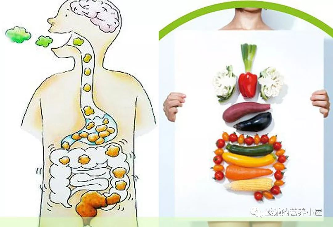 医学知识科普排便,排便困难病人的健康宣教