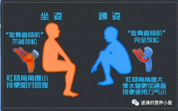 医学知识科普排便,排便困难病人的健康宣教