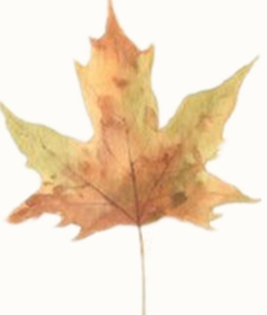 秋日书单|22家出版品牌联合赠书