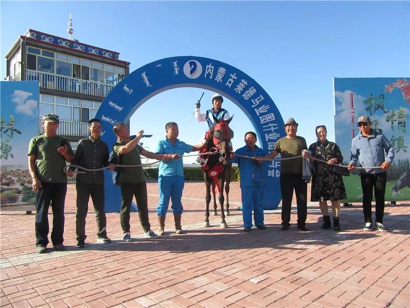 “鑫龙霸主”卫冕三连冠，“流星二号”四连称王