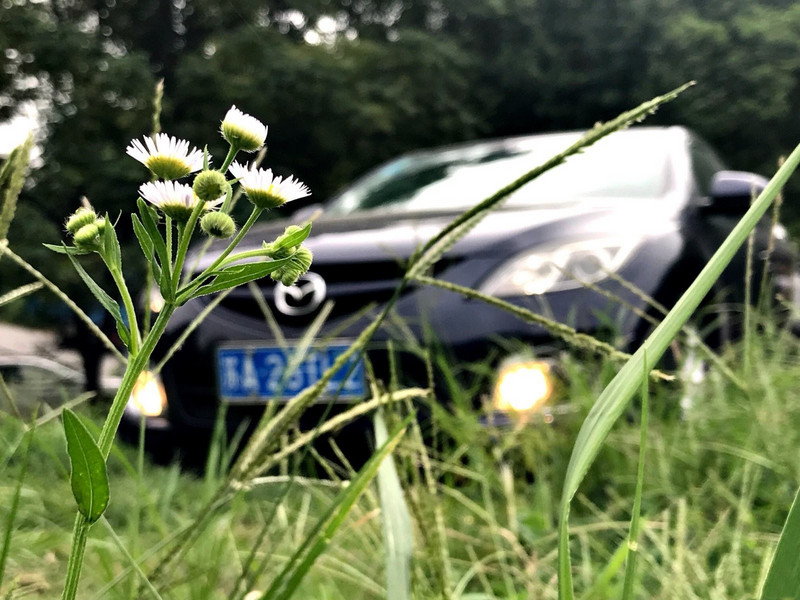 二手睿翼提车,二手睿翼哪一款最值得买