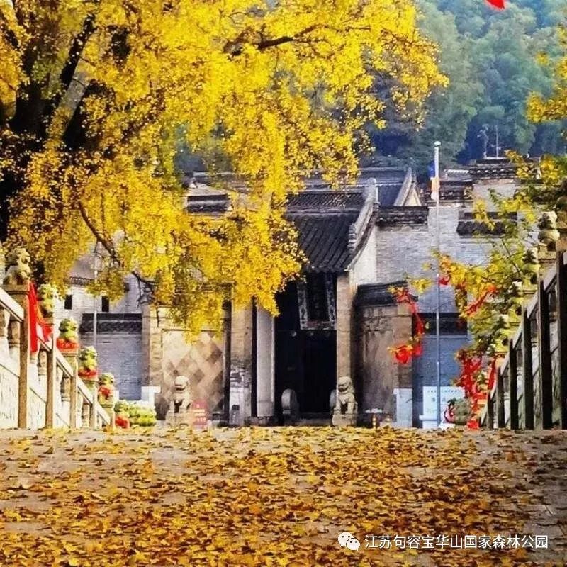 宝华山春节有演出吗,宝华活动