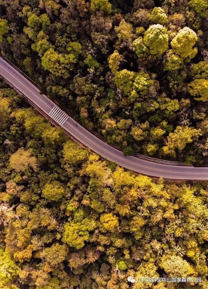 宝华山春节有演出吗,宝华活动