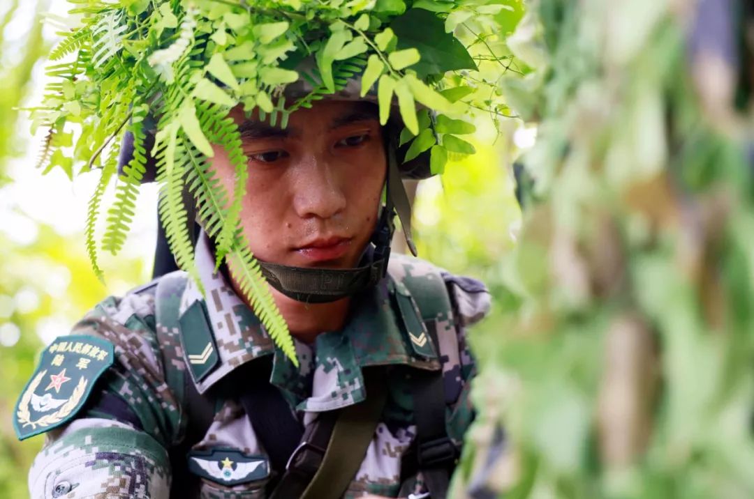 兵哥哥教你防身术,兵哥哥教你归纳小妙招