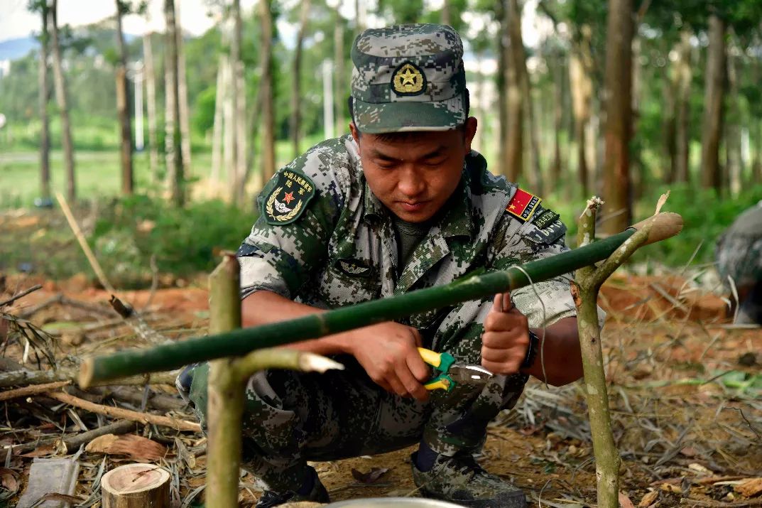 兵哥哥教你防身术,兵哥哥教你归纳小妙招