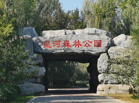 大厂县星河森林,大厂星河森林公园怎么走