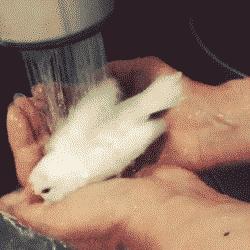 投影仪如何与屏幕相吻合,投影仪没有颜色和色调