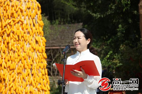 桃花源古镇农民丰收节,桃花源旅游节开幕式