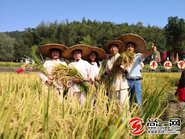 桃花源古镇农民丰收节,桃花源旅游节开幕式