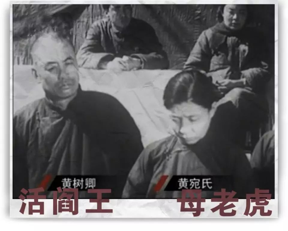 对女人最狠的，永远都是女人