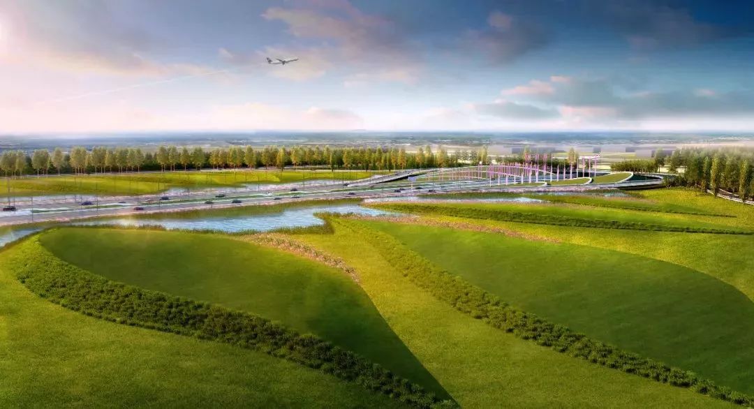 为什么要留在青岛,年轻人有必要留在青岛吗