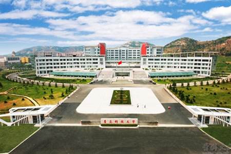 为什么要留在青岛,年轻人有必要留在青岛吗