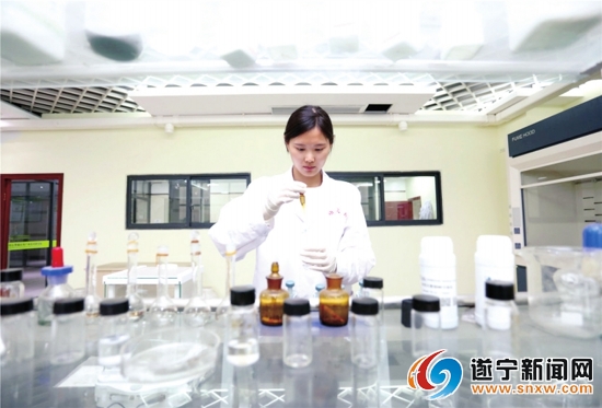 遂宁跨越,遂宁经开区产业园区