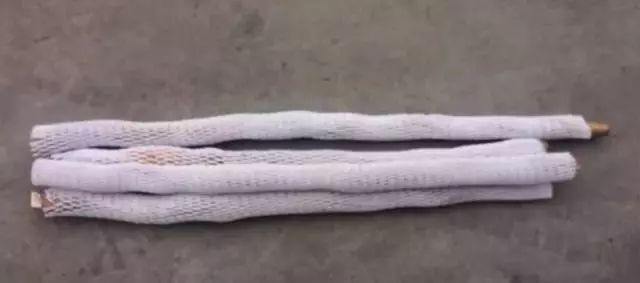 闪购|秋季滋补哪家强？当令食材之铁棍山药、板栗南瓜可以有