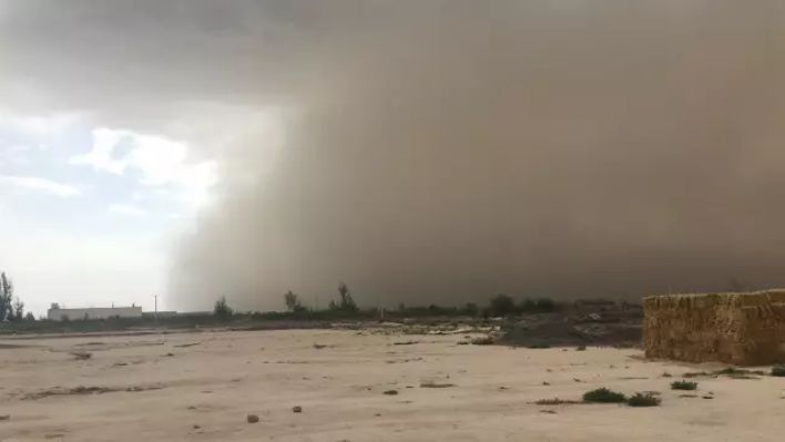 闪购|秋季滋补哪家强？当令食材之铁棍山药、板栗南瓜可以有