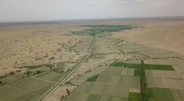 闪购|秋季滋补哪家强？当令食材之铁棍山药、板栗南瓜可以有