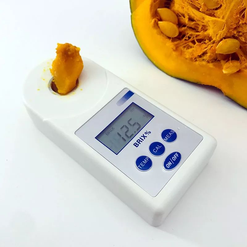 闪购|秋季滋补哪家强？当令食材之铁棍山药、板栗南瓜可以有