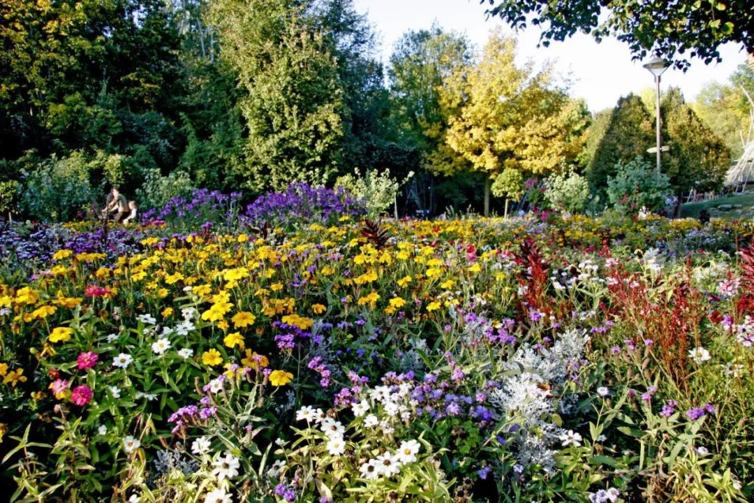 今日秋分人间最美时节,秋分天高云淡