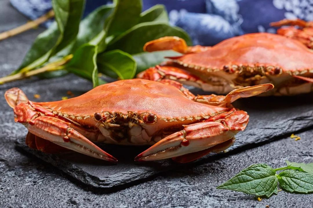 今日秋分人间最美时节,秋分天高云淡