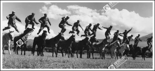 四川70年代老照片图库,四川老照片100张图片
