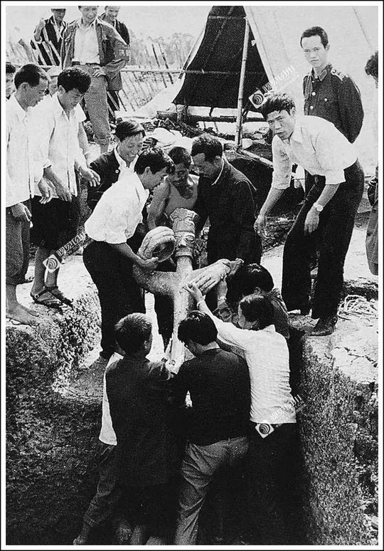 四川70年代老照片图库,四川老照片100张图片